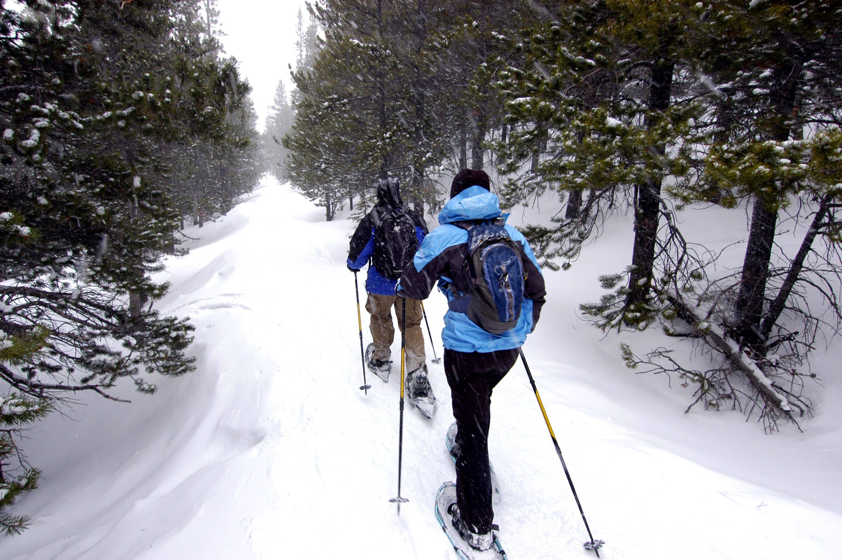Ice climbing, things to do in Whitehorse, winter activities, Ice trekking, fun things to do in the winter, winter events, winter fun, Whitehorse Canada things to do, Whitehorse Yukon things to do, zipline